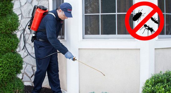Divriği Akrep İlaçlama böcek ilaçlama ve haşere kontrolü — ilaclama-tr.com